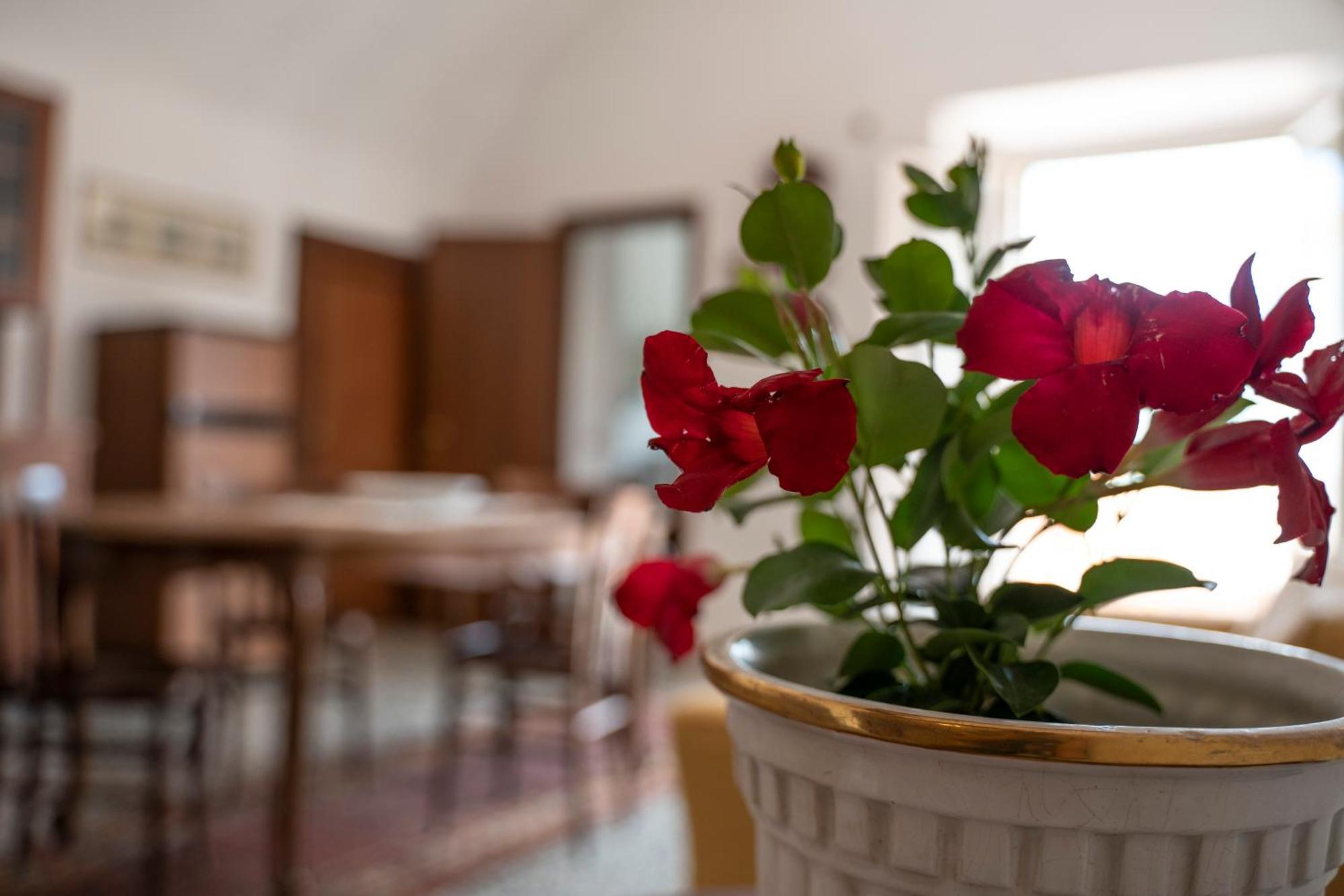 Hotel Il Casanova Tropea Habitación foto